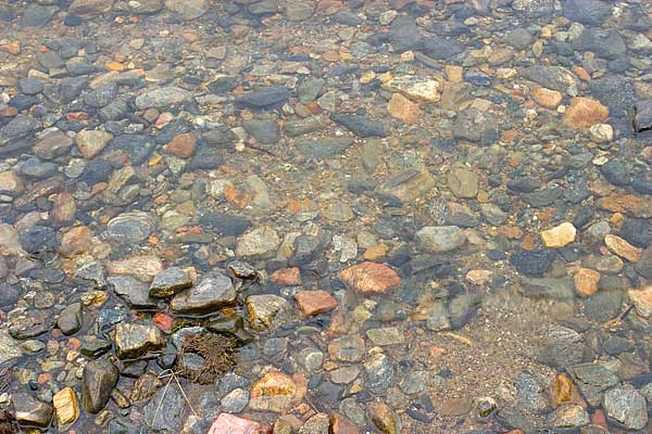 а вот вполне аквариумный грунт с берега озера Имандра. мешочек такого грунта я привез с собой.