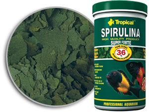 Tropical super-spirulina-forte